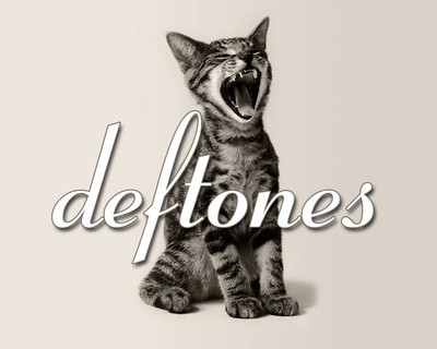 

music-deftones-band-music-united-states-dgmpxws Wall Poster Paper Print(12 inch X 18 inch, Rolled)