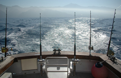 

Akhuratha Poster Sports Fishing Fishing Rod Boat Sport Ocean Sea HD Wallpaper Background Fine Art Print(12 inch X 18 inch, Rolled)