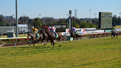 

Akhuratha Poster Sports Horse Racing Original Animal Horse Race Racing Jockey Photography Races HD Wallpaper Background Fine Art Print(12 inch X 18 inch, Rolled)