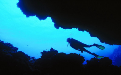 

Akhuratha Poster Sports Diving HD Wallpaper Background Fine Art Print(12 inch X 18 inch, Rolled)
