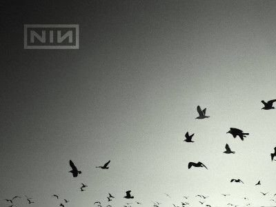 

Akhuratha music-nine-inch-nails-band-music-united-states-bhzfesuy Wall Poster Paper Print(12 inch X 18 inch, Rolled)