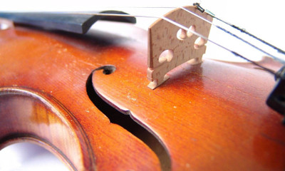 

Akhuratha music-violin-akmuz-fvqfdqqc Wall Poster Paper Print(12 inch X 18 inch, Rolled)