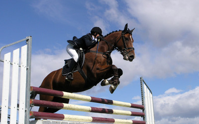 

Sports Show Jumping Wall Poster Paper Print(12 inch X 18 inch, Rolled)