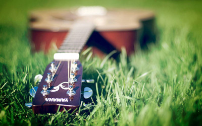 

Akhuratha music-guitar-akmuz-hahhhnrf Wall Poster Paper Print(12 inch X 18 inch, Rolled)