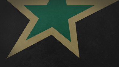 

Sports Dallas Stars Hockey Wall Poster Paper Print(12 inch X 18 inch, Rolled)