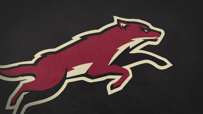 

Sports Phoenix Coyotes Hockey Wall Poster Paper Print(12 inch X 18 inch, Rolled)