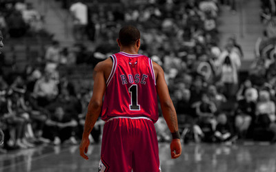 

Sports Chicago Bulls Basketball Wall Poster Paper Print(12 inch X 18 inch, Rolled)
