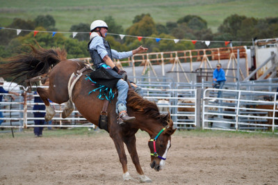 

Sports Rodeo Horse Sport Cowboy Wall Poster Paper Print(12 inch X 18 inch, Rolled)