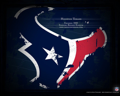 

Sports Houston Texans Football Wall Poster Paper Print(12 inch X 18 inch, Rolled)