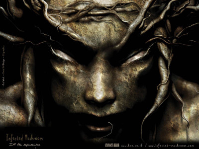 Akhuratha music-infected-mushroom-band-music-israel-edahqun Wall Poster Paper Print(12 inch X 18 inch, Rolled)
