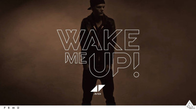 

music-avicii-dj-zyhuvzj Wall Poster Paper Print(12 inch X 18 inch, Rolled)