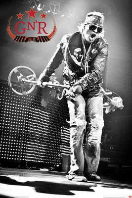 

Aabhaas Wall Poster Guns N Roses Al Rose Paper Print(12 inch X 18 inch, Rolled)
