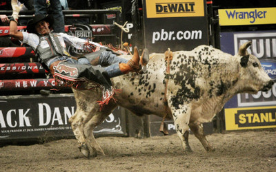 

Sports Bullriding Wall Poster Paper Print(12 inch X 18 inch, Rolled)
