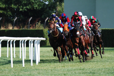 

Sports Horse Racing Wall Poster Paper Print(12 inch X 18 inch, Rolled)