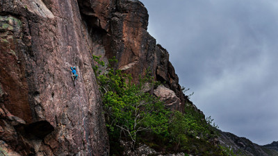 

Sports Climbing Wall Poster Paper Print(12 inch X 18 inch, Rolled)