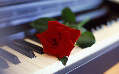 

music-piano-akmuz-duqn Wall Poster Paper Print(12 inch X 18 inch, Rolled)