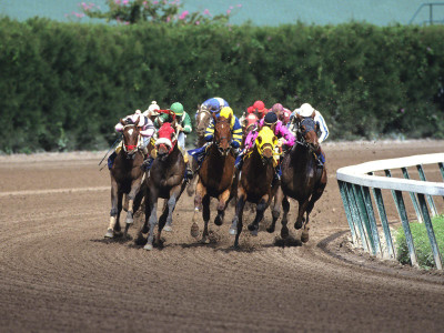 

Sports Horse Racing Racing Wall Poster Paper Print(12 inch X 18 inch, Rolled)