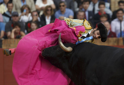 

Sports Bullfighting Wall Poster Paper Print(12 inch X 18 inch, Rolled)