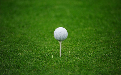 

Akhuratha Poster Sports Golf HD Wallpaper Background Fine Art Print(12 inch X 18 inch, Rolled)