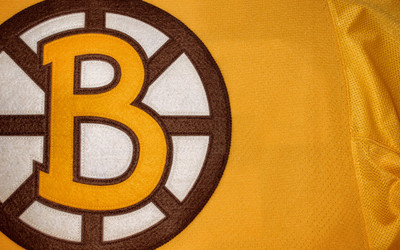 

Sports Boston Bruins Hockey Wall Poster Paper Print(12 inch X 18 inch, Rolled)