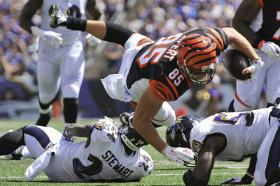 

Sports Baltimore Ravens Football Wall Poster Paper Print(12 inch X 18 inch, Rolled)