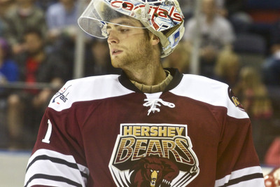 

Sports Braden Holtby Hockey Wall Poster Paper Print(12 inch X 18 inch, Rolled)