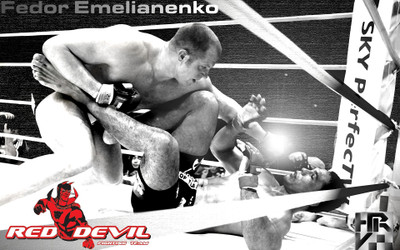 

Sports Fedor Emelianenko Wall Poster Paper Print(12 inch X 18 inch, Rolled)