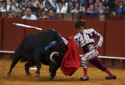 

Akhuratha Poster Sports Bullfighting HD Wallpaper Background Fine Art Print(12 inch X 18 inch, Rolled)