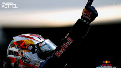 

Sports Sebastian Vettel Wall Poster Paper Print(12 inch X 18 inch, Rolled)