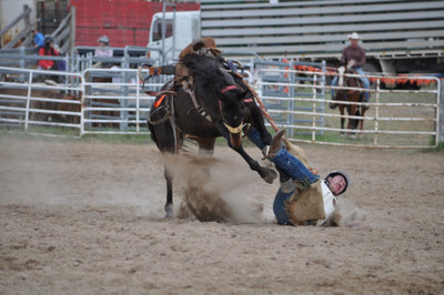 

Akhuratha Poster Sports Rodeo Horse Sport Cowboy HD Wallpaper Background Fine Art Print(12 inch X 18 inch, Rolled)