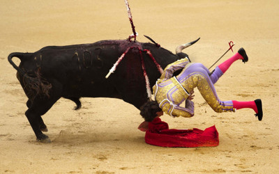 

Sports Bullfighting Wall Poster Paper Print(12 inch X 18 inch, Rolled)
