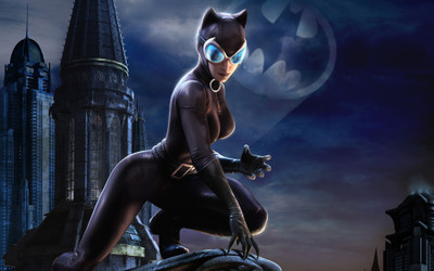 

Catwoman Frameless Fine Quality Poster Photographic Paper(12 inch X 18 inch, Rolled)