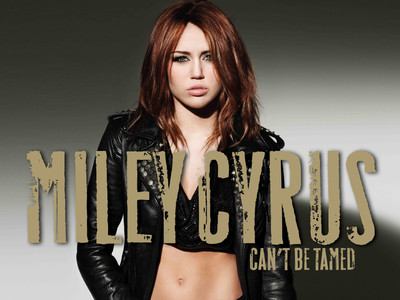 

Music Miley Cyrus Singers United States Wall Poster Fine Art Print(12 inch X 18 inch, Rolled)