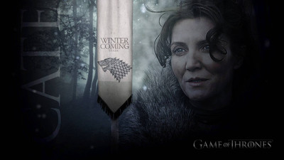 

Aabhaas Game of Thrones Wall Poster Fine Art Print(12 inch X 18 inch, Rolled)