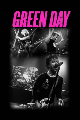 

Aabhaas Wall Poster Green Day Live Band Paper Print(12 inch X 18 inch, Rolled)