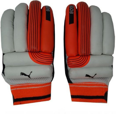 

Puma Evo 6 Batting Gloves (Men, Multicolor)
