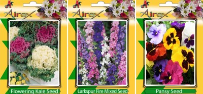 Airex Flowering Kale, Larkspur Fire Mixed and Pansy Flower Seeds (Pack Of 15 Seeds * 3 Per Packet) Seed(15 per packet)