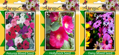 Airex Petunia Mixed, Daisy Mixed and Hollyhock Flower Seeds (Pack Of 20 Seeds * 3 Per Packet) Seed(20 per packet)