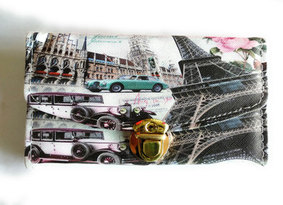 

RSG Casual Multicolor Clutch