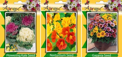 Airex Flowering Kale, Nasturtium and Gazania Flower Seeds (Pack Of 25 Seeds * 3 Per Packet) Seed(25 per packet)