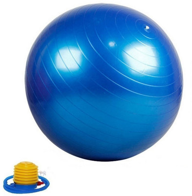 

SKYBLUE Fitness_Guru Anti Burst Gym Aerobic Ball Gym & Fitness Kit