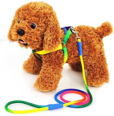 

Pets Empire Rainbow Color Dog Harness and Leash Weave Nylon Pet Rope Training Walking Leash () Frog Harness & Leash(, Multicolor