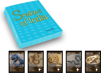 

bay of life Flash Card(Blue)
