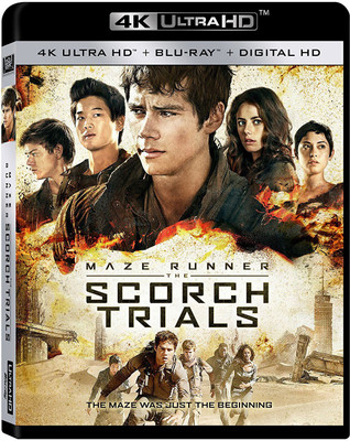 

MAZE RUNNER-SCORCH TRIALS (BLU-RAY/4K-UHD)(4K(UHD) Blu-ray English)