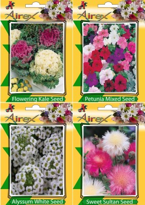 Airex Flowering Kale, Petunia Mixed, Alyssum White and Sweet Sultan Flower Seeds (Pack Of 15 Seeds * 4 Per Packet) Seed(15 per packet)