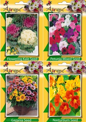 Airex Flowering Kale, Petunia Mixed, Gazania and Nasturtium Flower Seeds + Humic Acid Fertilizer (For Growth of All Plant and Better Responce) 15 gm Humic Acid + Pack Of 30 Seeds * 4 Per Packet Seed(30 per packet)