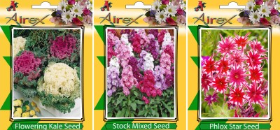 Airex Flowering Kale, Stock Mixed and Phlox Star (Twinkle Star) Flower Seeds + Humic Acid Fertilizer (For Growth of All Plant and Better Responce) 15 gm Humic Acid + Pack Of 30 Seeds * 3 Per Packet Seed(30 per packet)