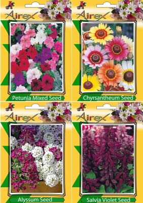 Airex Petunia Mixed, Chrysanthemum, Salvia Violet and Alyssum Flower Seeds (Pack Of 25 Seeds * 4 Per Packet) Seed(25 per packet)