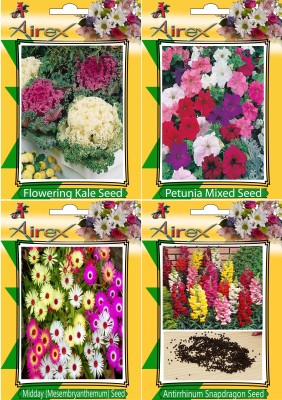 Airex Flowering Kale, Petunia Mixed, Mesembryanthemum / Midday and Antirrhinum Snapdragons Flower Seeds + Humic Acid Fertilizer (For Growth of All Plant and Better Responce) 15 gm Humic Acid + Pack Of 30 Seeds * 4 Per Packet Seed(30 per packet)