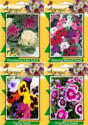 Airex Flowering Kale, Petunia Mixed, Pansy and Dianthus Flower Seeds + Humic Acid Fertilizer (For Growth of All Plant and Better Responce) 15 gm Humic Acid + Pack Of 30 Seeds * 4 Per Packet Seed(30 per packet)